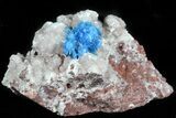 Vibrant Blue Cavansite Cluster on Stilbite - India #45875-1